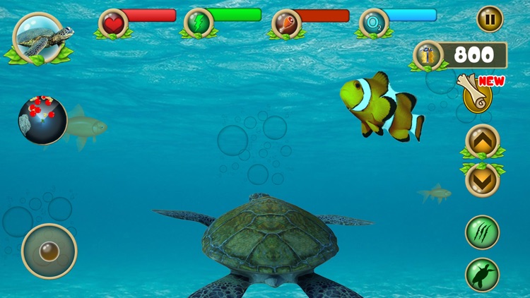 Sea Turtle Survival Sim Games