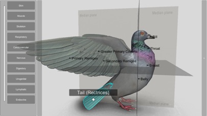 How to cancel & delete 3D Bird Anatomy from iphone & ipad 1