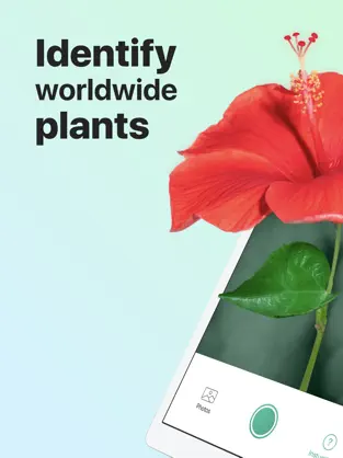 Screenshot 1 PictureThis - Plant Identifier iphone