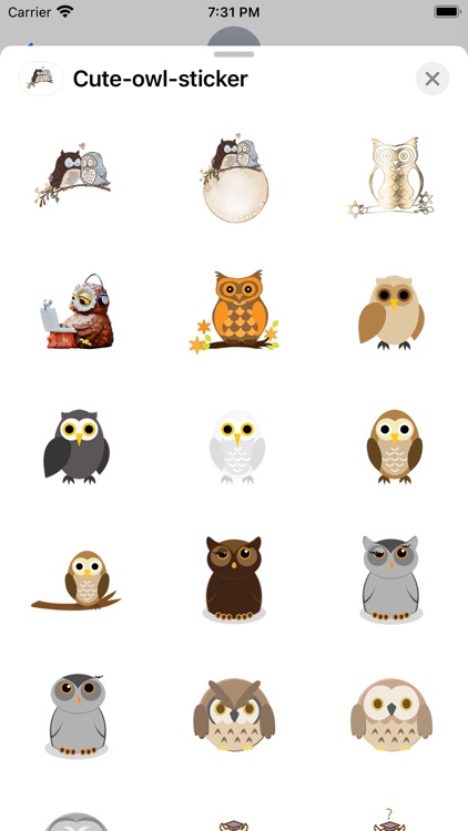 owl Cute sticker