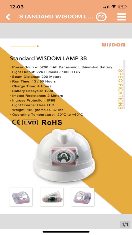 WISDOM LAMP