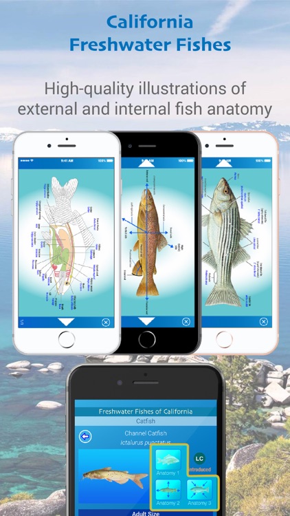 California Freshwater Fishes screenshot-4