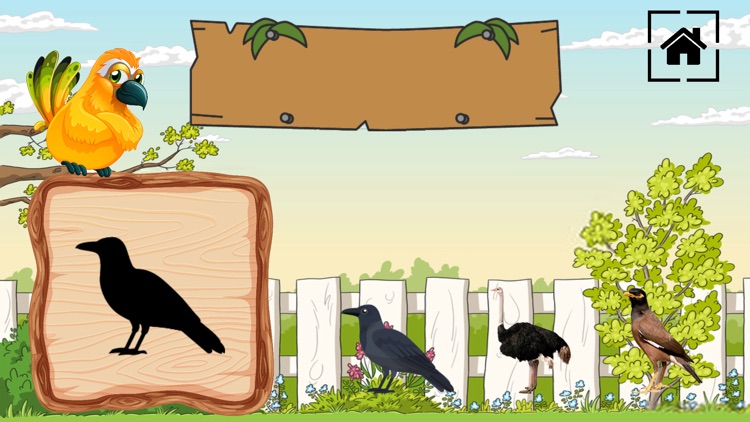 Bird Match With QZ screenshot-4
