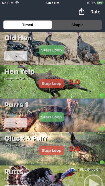 Wild Turkey Calls + screenshot-3