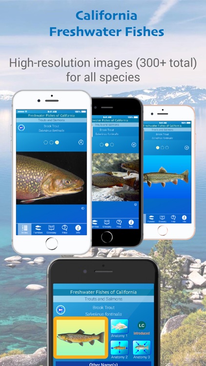 California Freshwater Fishes screenshot-7