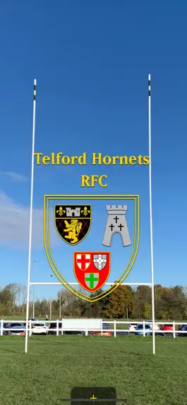 Game screenshot Telford Hornets RFC mod apk