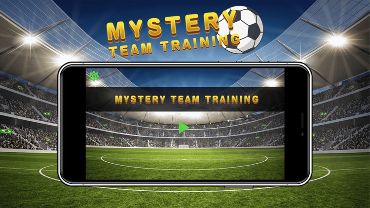 Mystery team training