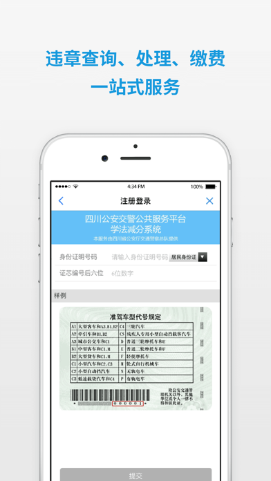 四川公安交警公共服务平台 screenshot 2