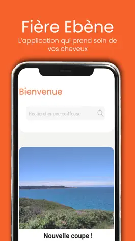 Game screenshot Fière Ébène mod apk