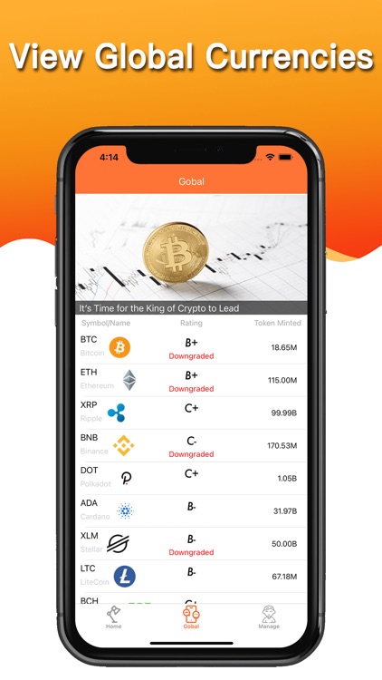 Big Winner - Crypto Alert