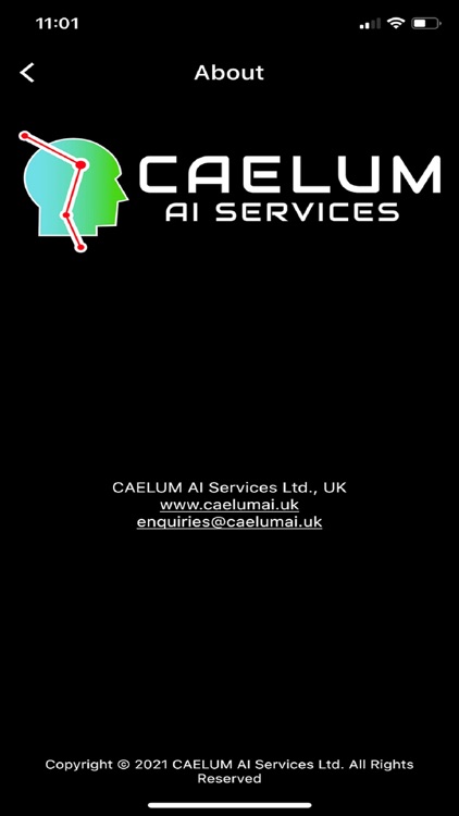 CAELUM AI Services