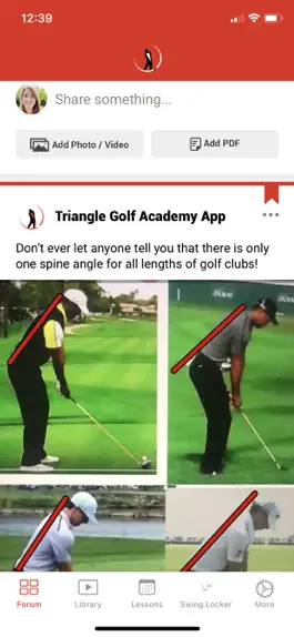 Game screenshot Triangle Golf Academy mod apk