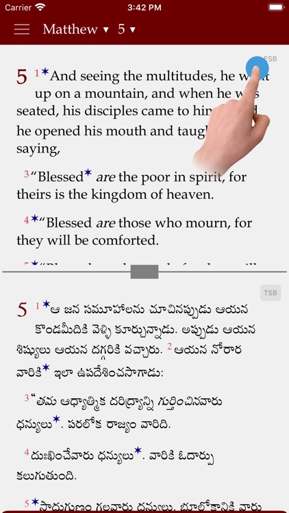 GM Study Bible screenshot-4