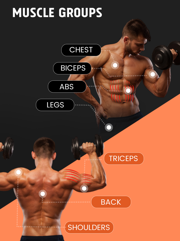 LifeBuddy - Dumbbell Workouts