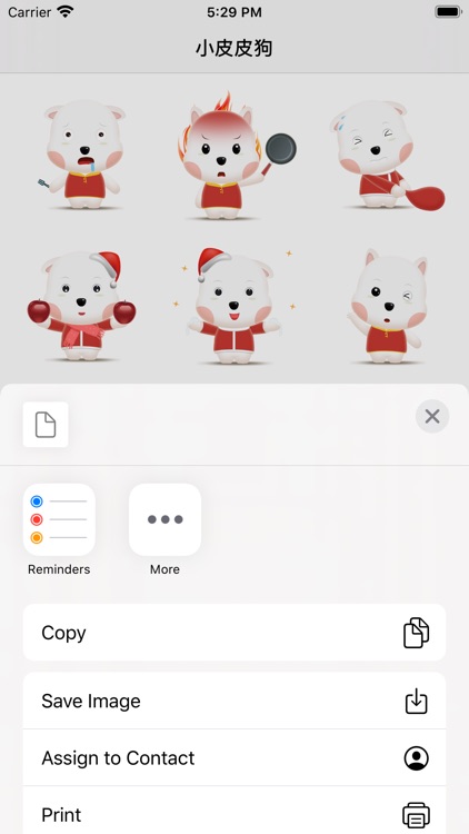 小皮皮狗