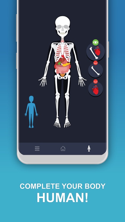 Anato Trivia Quiz Anatomia By Fabricio Tarter