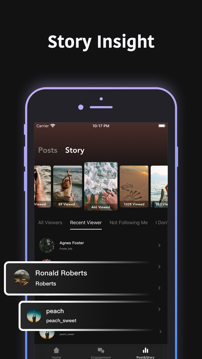 IG Reports Follower Analyzer