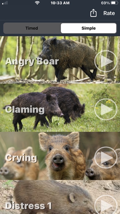 Wild Hog Calls