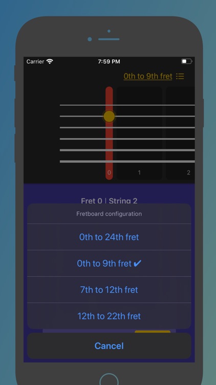 Fret Notes