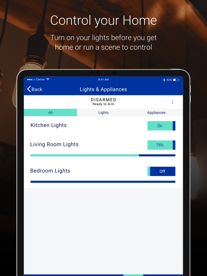 Brinks Home  Protect America