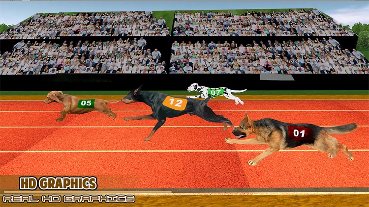 Dog Race Greyhound 3D screenshot-6