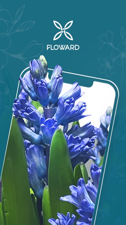 Floward Online Flowers & Gifts