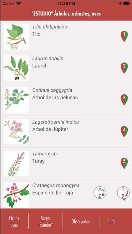 'ESTUDIO' Árboles, aves