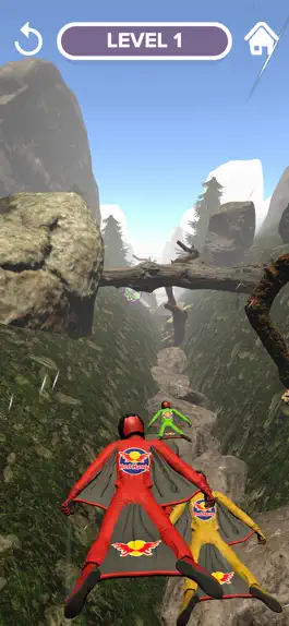 Game screenshot Crazy Wingsuit apk