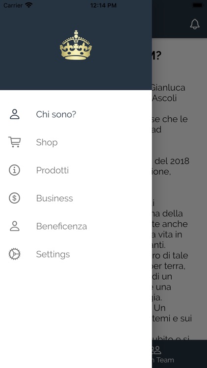 Ippon Team screenshot-4