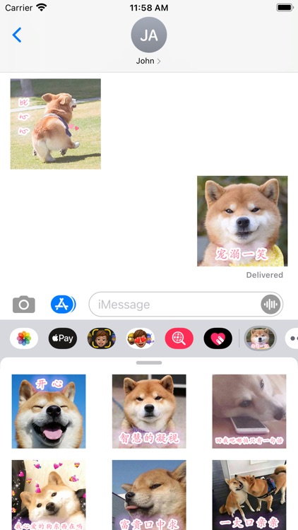 撩人小狗狗表情包