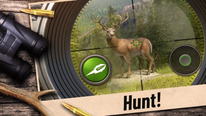 Hunting Clash: Call of Hunter