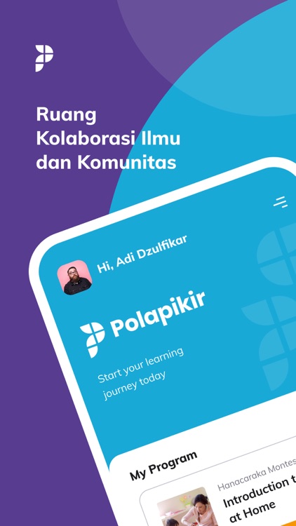 Polapikir