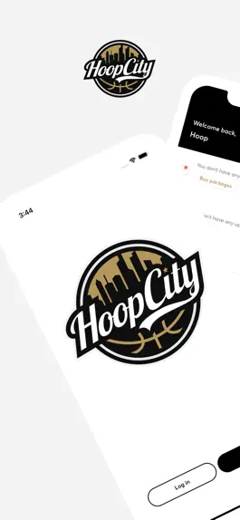 Game screenshot Hoop City mod apk
