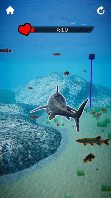 Shark Revenge screenshot-3