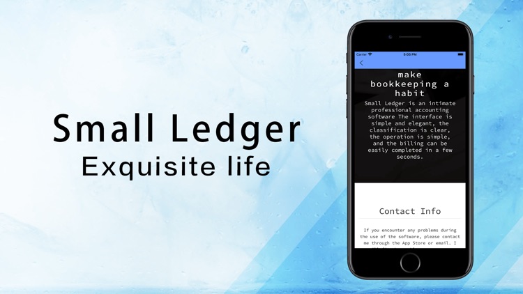 Small Ledger