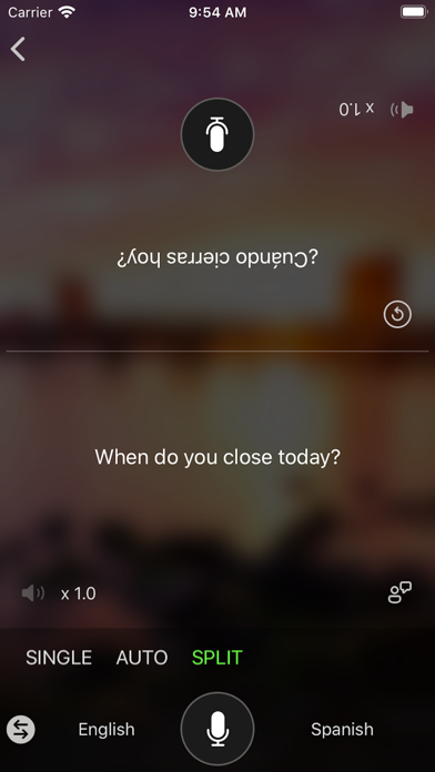 Microsoft Translator screenshot1