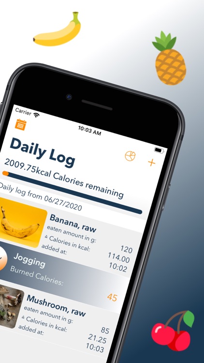 DietAssistant: Calorie Counter