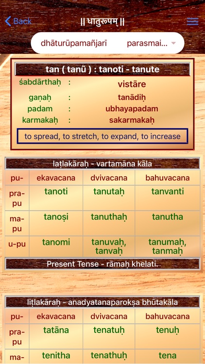 Sanskrit Dhatu 360° screenshot-6