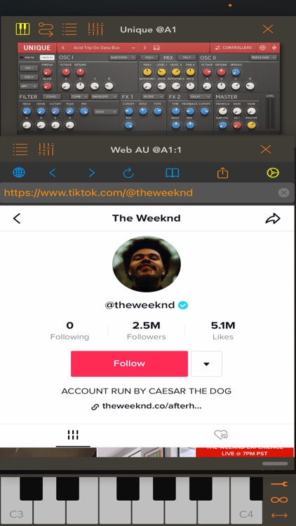 Web AU screenshot-3