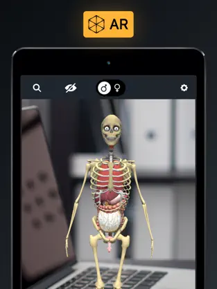 Captura 5 Anatomia 3D - El Cuerpo Humano iphone
