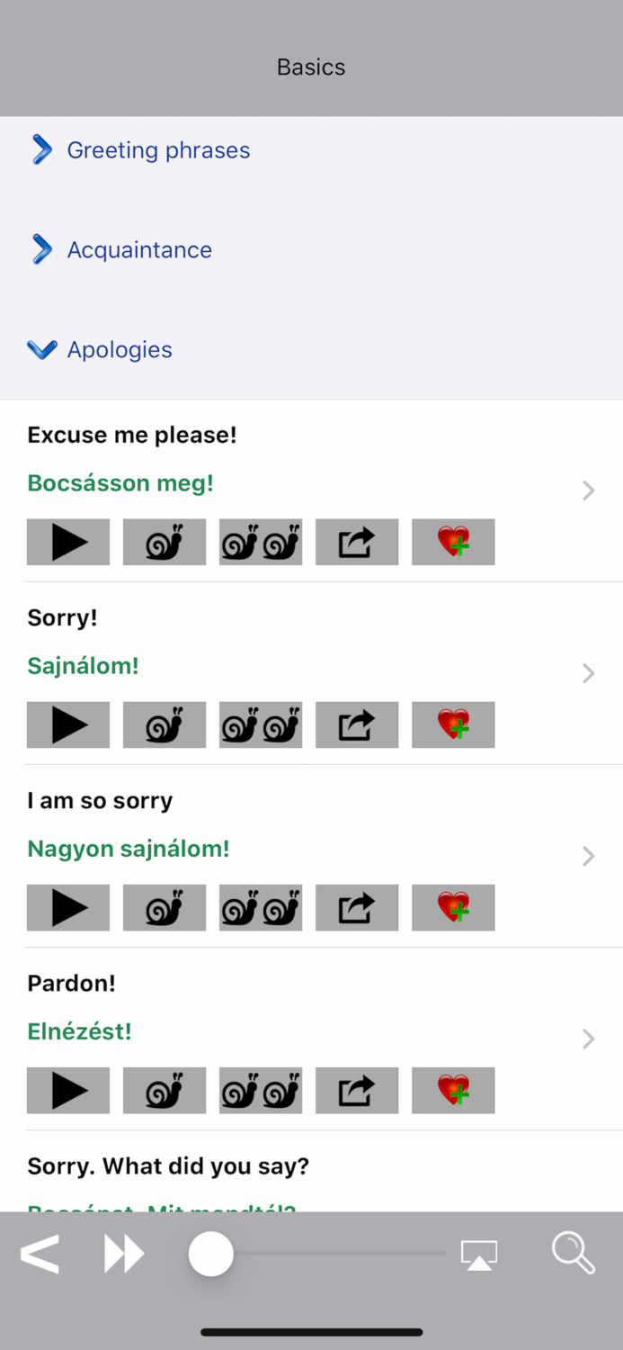 Wordy Hungarian Phrasebook