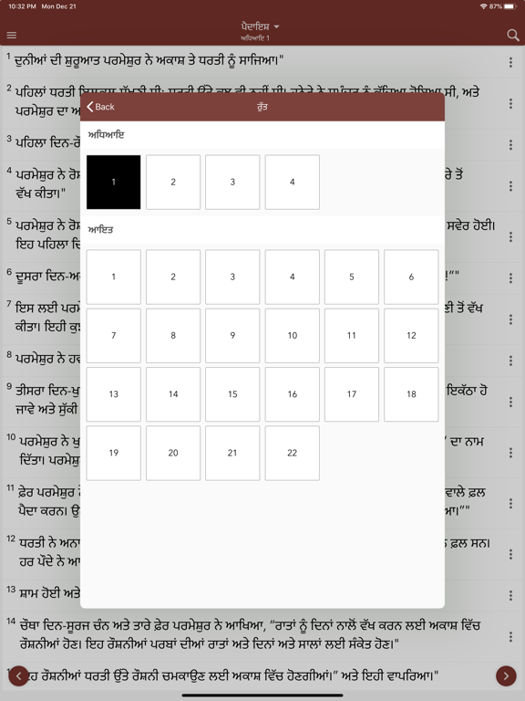 Holy Bible In Punjabi screenshot 3