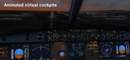 Game screenshot Aerofly FS 2021 hack