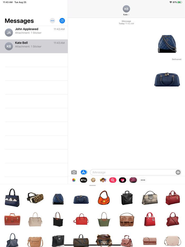 Fashion Handbag Collection