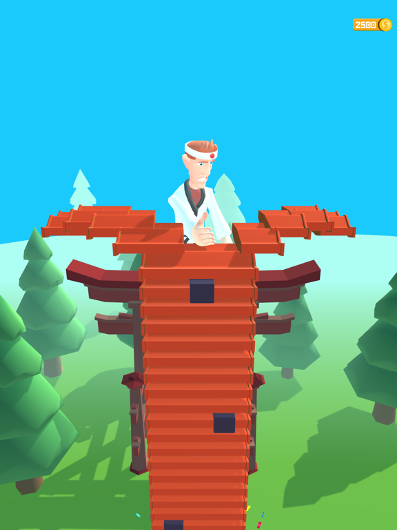 Karate Boy 3D screenshot 4
