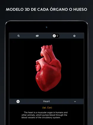 Captura de Pantalla 3 Anatomia 3D - El Cuerpo Humano iphone