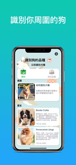 Dog Identifier - 識別狗的品種(圖6)-速報App