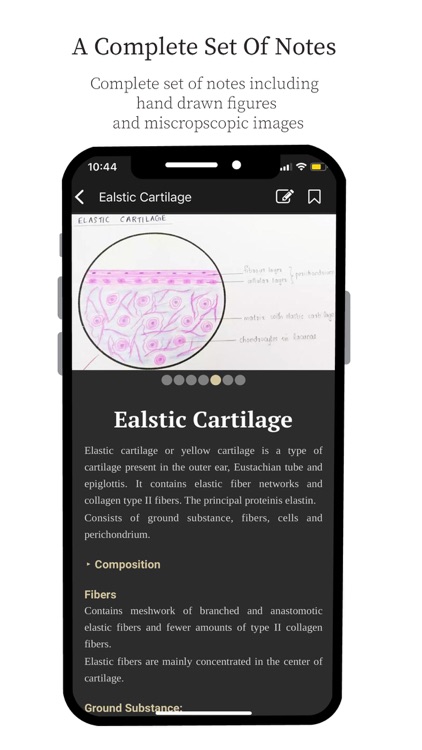 Medicos Histology screenshot-3