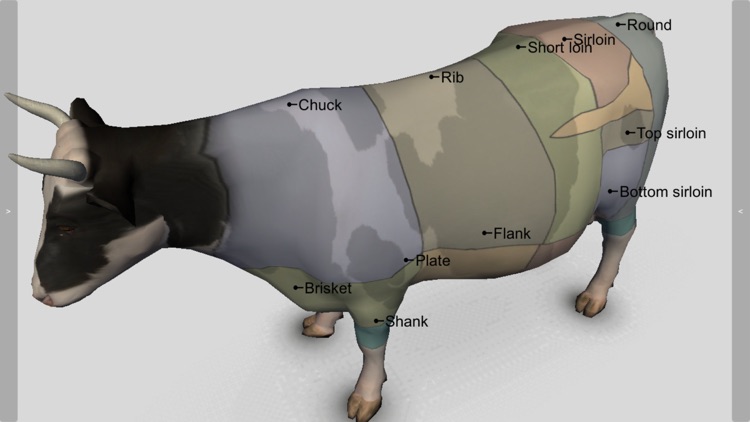 3D Bovine Anatomy screenshot-3