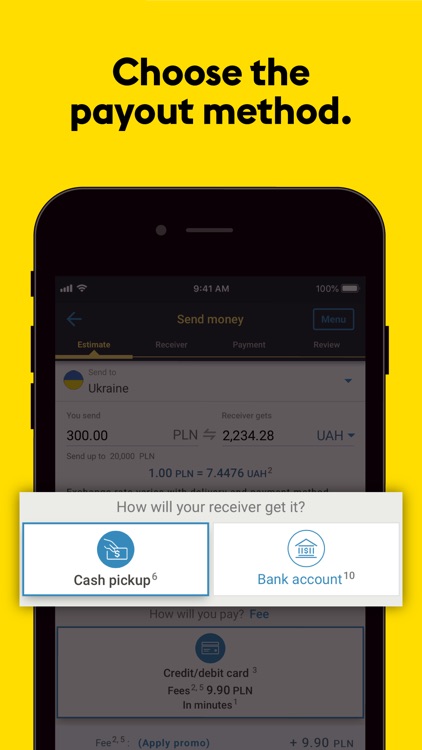 Western Union® Money Transfer screenshot-2